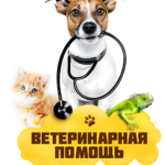 Ветеринарные услуги Без рубрики